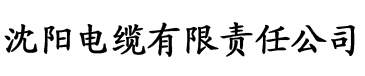 双面孕夫电缆厂logo